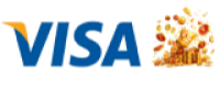 Visa Payment Method